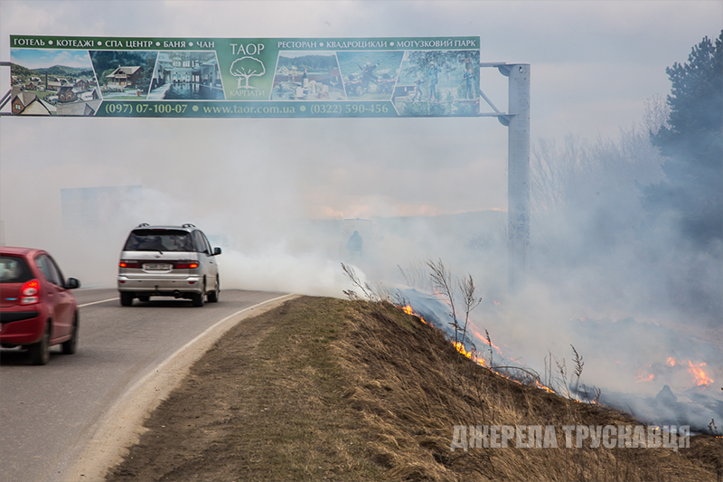 При в’їзді до Трускавця горів сухостій: прибули пожежники, поліція й екологічна служба не відреагували (ФОТО)