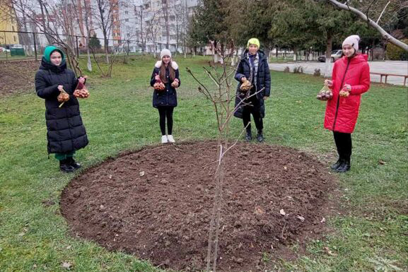 Учні трускавецької школи висадили квіти