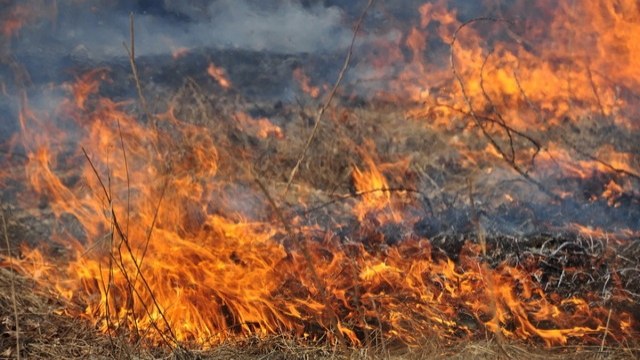Масово палять сухе листя! Рятувальники Трускавця відвертали пожежі  із сухостоєм
