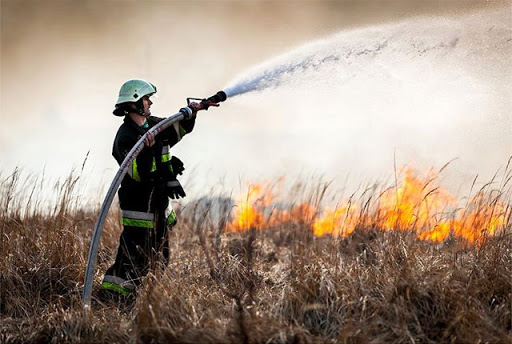 На Львівщині за два дні ошрафували 46 паліїв сухостою