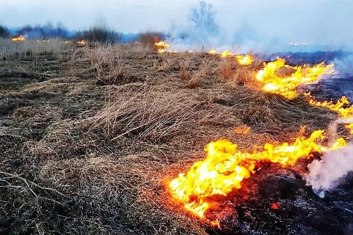 Паліїв трави прирівнюватимуть до диверсантів