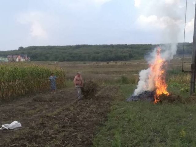 Куди дзвонити, якщо сусіди спалюють сміття: детальна інструкція