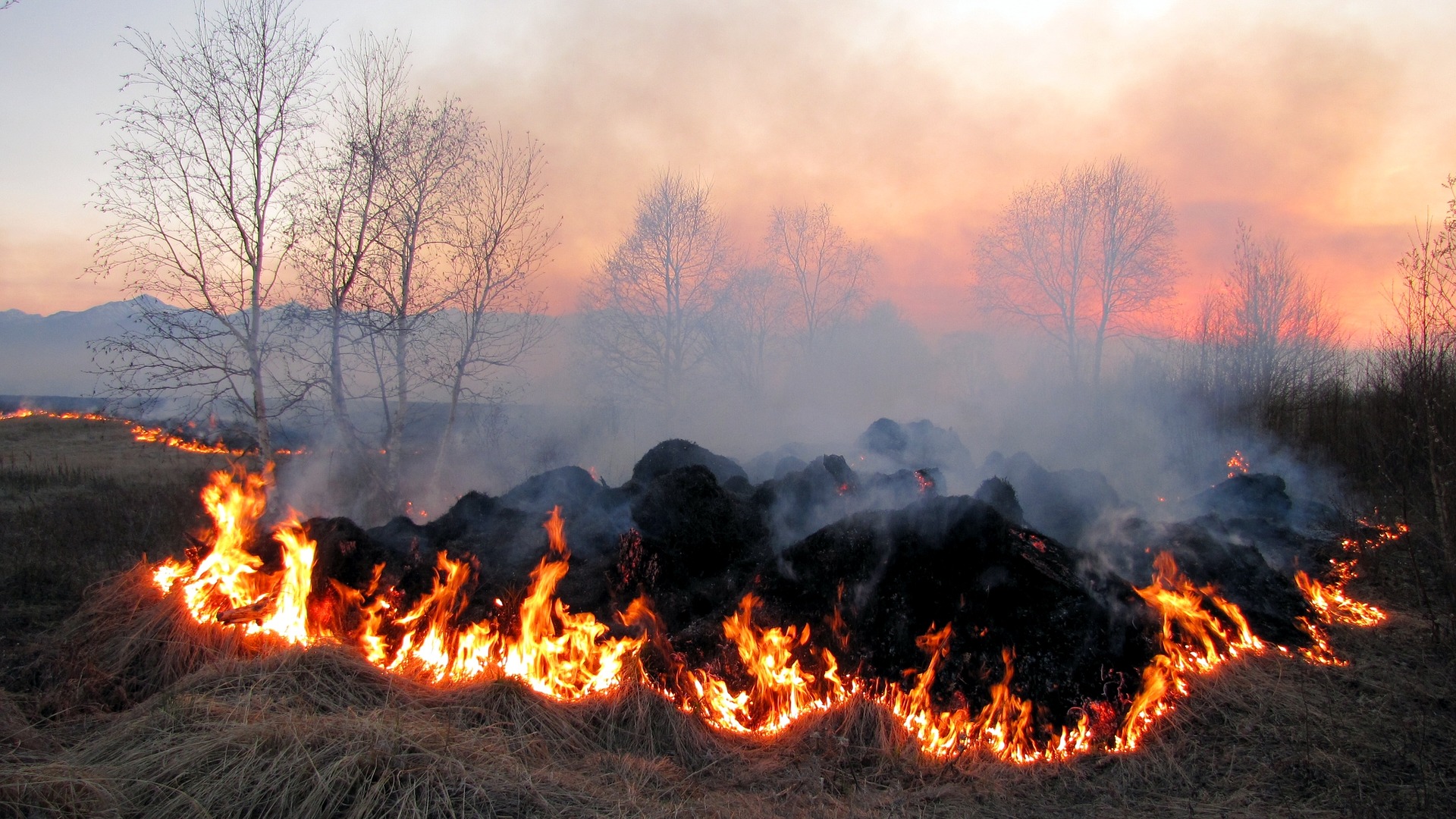 Паління трави кваліфікуватимуть як диверсію: довічне позбавлення волі з конфіскацією майна