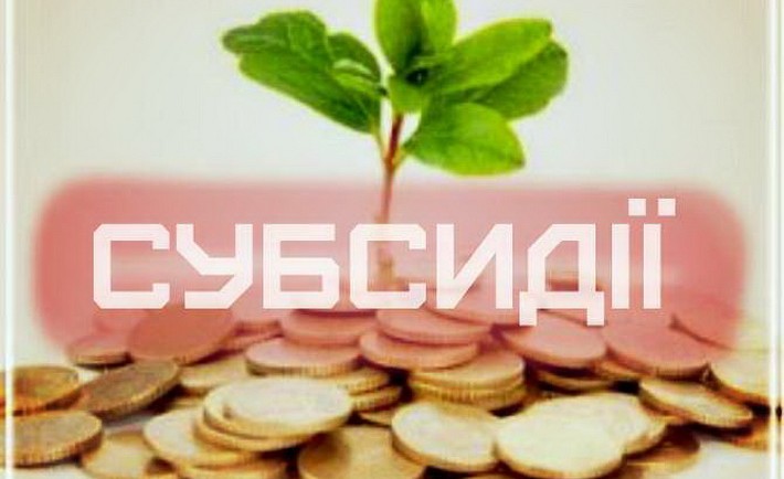 В Україні кардинально урізали субсидії
