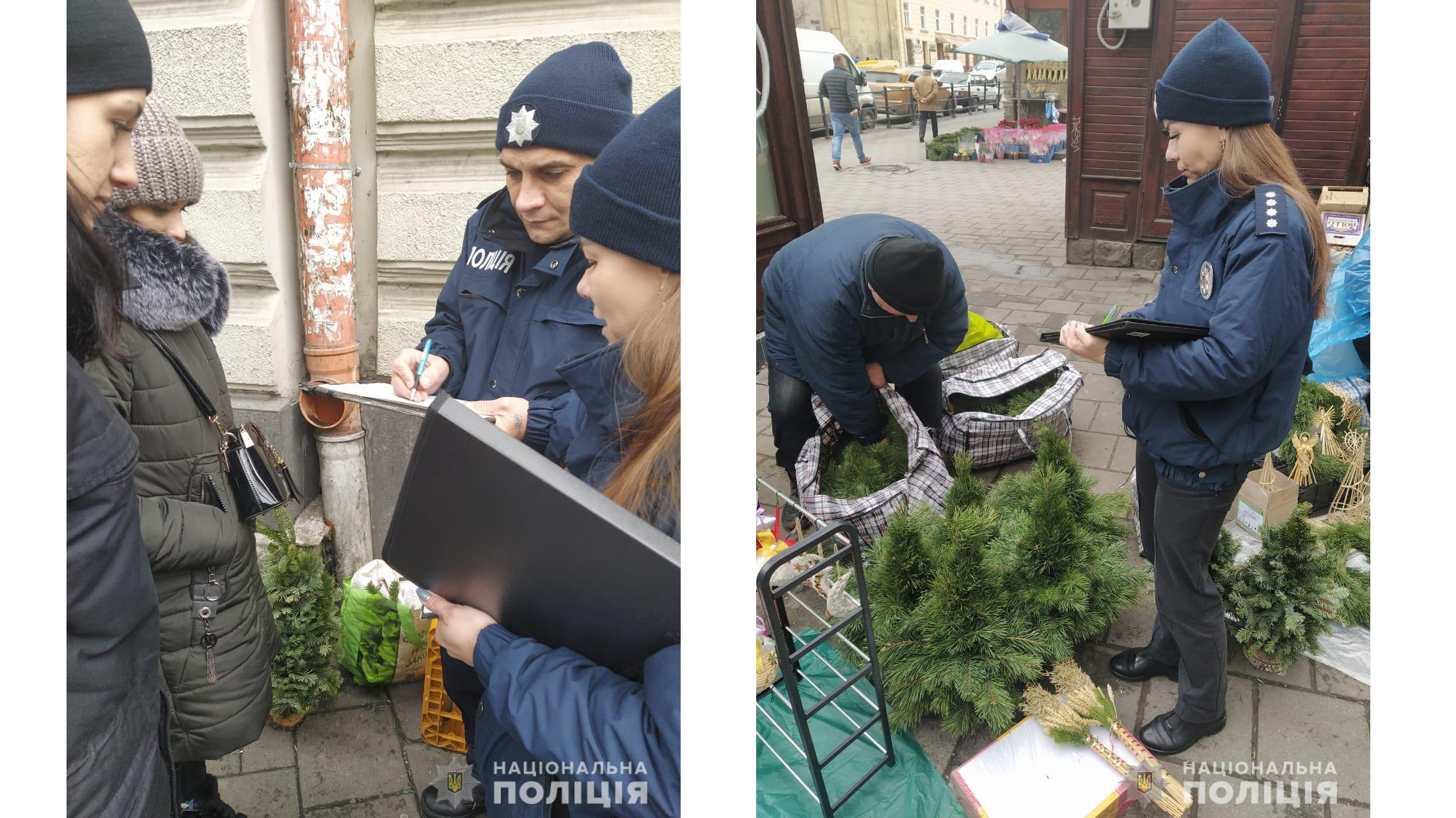 На Львівщині поліцейські перевіряють законність продажу ялинок 