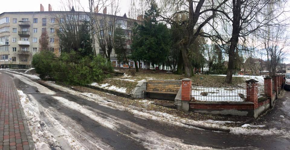 Не реагують – у Трускавці тиждень часу комунальники ніяк не приберуть повалені дерева