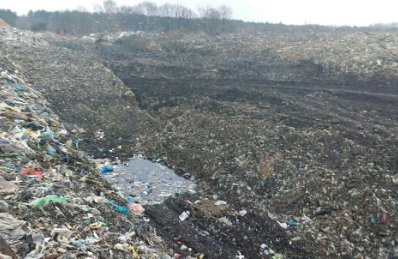 Сміттєзвалище на Дрогобиччині забруднює річку