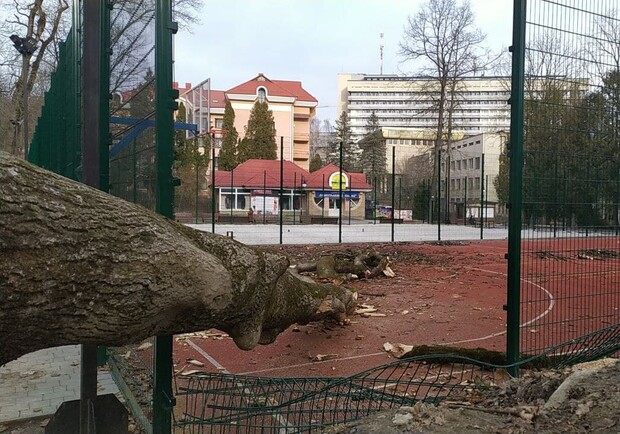 Нищівна сила негоди: шквальний вітер наробив лиха на території Трускавецької ОТГ