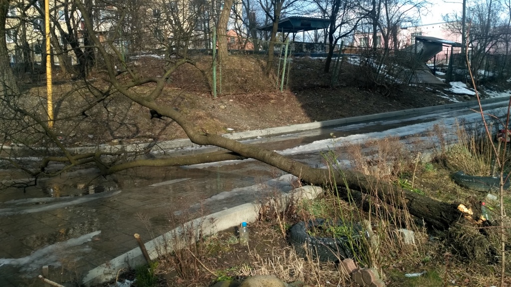 IMG_20200210_142708_HDR.jpg