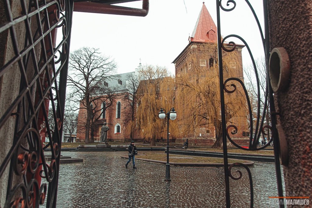 IMG_6951.jpg