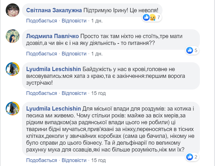 к4.jpg