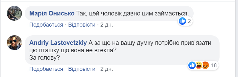 к2.jpg