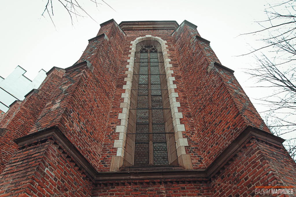 IMG_6906.jpg