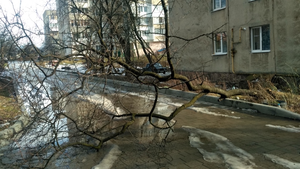 IMG_20200210_142645_HDR.jpg