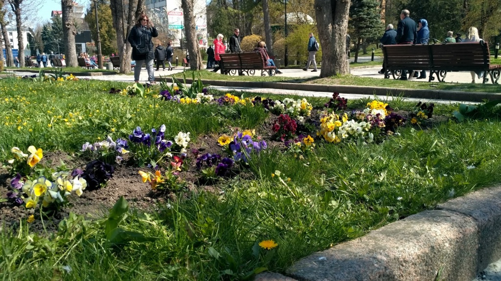 парк1.jpg парк1.jpg