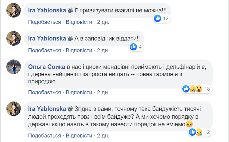 к3.jpg