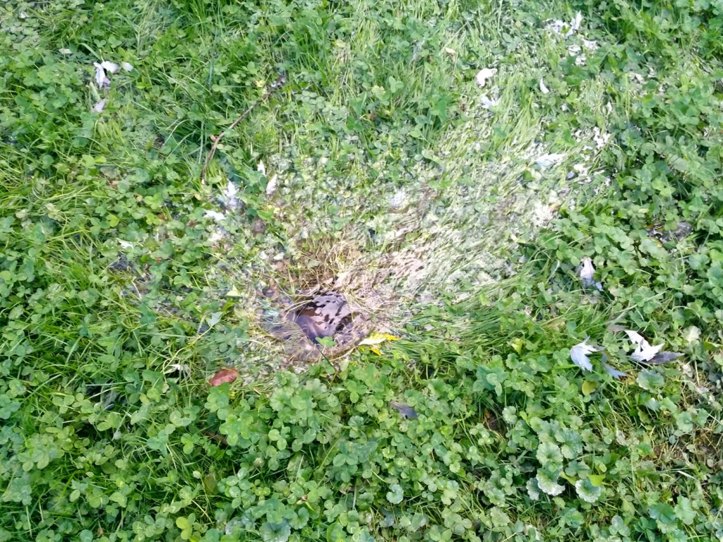 вода1.jpg